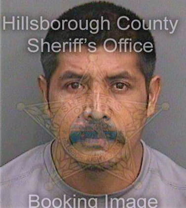 Serranorodriguez Pedro - Hillsborough County, FL 