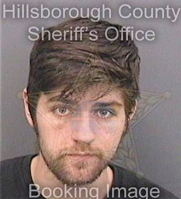 Lewis Jason - Hillsborough County, FL 