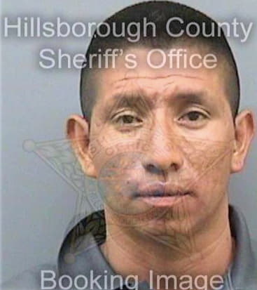 Trianabarrios Jose - Hillsborough County, FL 