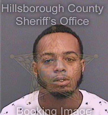 Mckenzie Brenden - Hillsborough County, FL 
