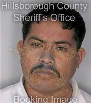 Hernandez Javier - Hillsborough County, FL 