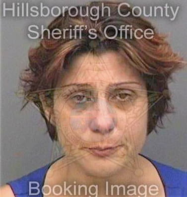 Gonzalez Miladis - Hillsborough County, FL 