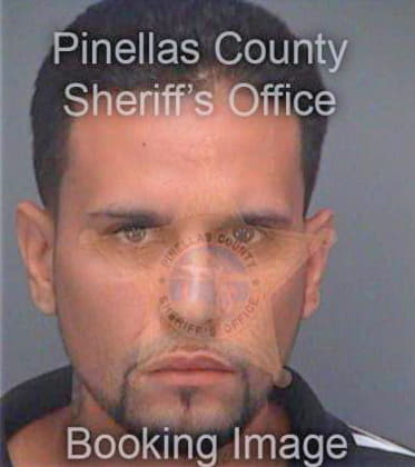 Rodriguez-Fernandez Carl - Pinellas County, FL 