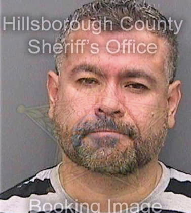 Gonzalezrodriguez Guillermo - Hillsborough County, FL 