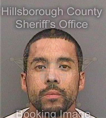 Melendez Hector - Hillsborough County, FL 