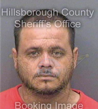 Pineiro Jose - Hillsborough County, FL 