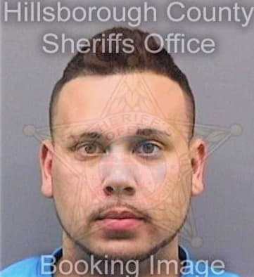 Vansant Robert - Hillsborough County, FL 