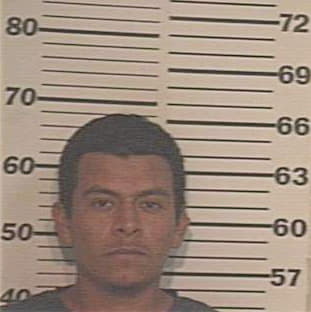 Hernandez Daniel - Hidalgo County, TX 