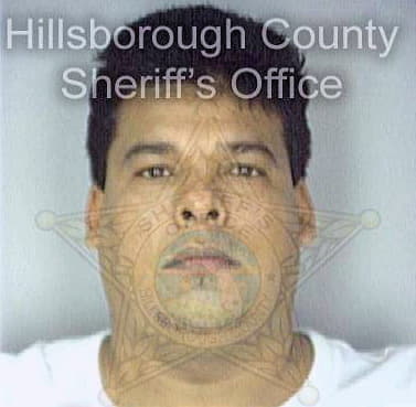 Guevarbetancourt Gustavon - Hillsborough County, FL 