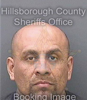 Nunez Omero - Hillsborough County, FL 