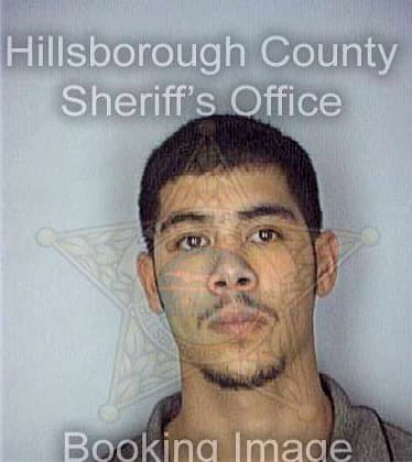 Perez Rogelio - Hillsborough County, FL 