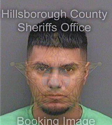 Silva Juan - Hillsborough County, FL 