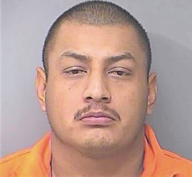 Hernandez Ricaro - Denton County, TX 