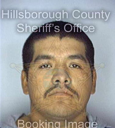 Ramirez Jorge - Hillsborough County, FL 