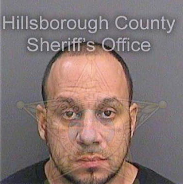 Colon Osvaldo - Hillsborough County, FL 