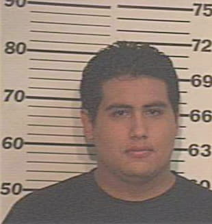 Ramirez Rogelio - Hidalgo County, TX 