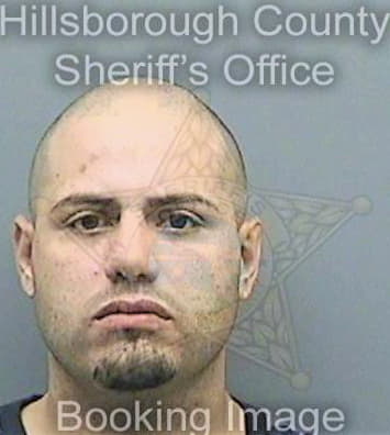 Leontorres Luis - Hillsborough County, FL 