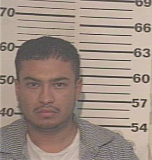 Ramirez Mario - Hidalgo County, TX 