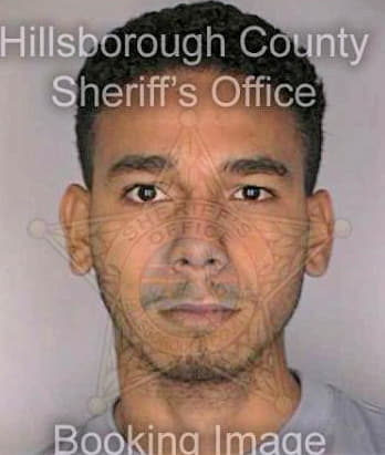 Rivera Daniel - Hillsborough County, FL 