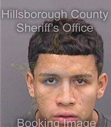 Perez Antonio - Hillsborough County, FL 