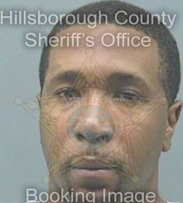 Felder Patrick - Hillsborough County, FL 