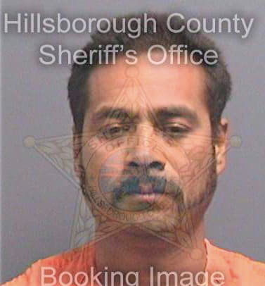 Elvira Rafael - Hillsborough County, FL 