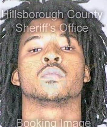 Mcnish Darwin - Hillsborough County, FL 