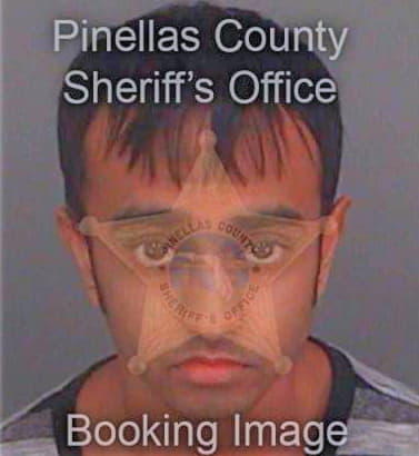 Balram Andy - Pinellas County, FL 