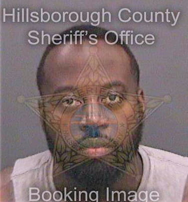 Holton Christopher - Hillsborough County, FL 