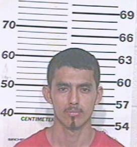 Hernandez Heriberto - Hidalgo County, TX 