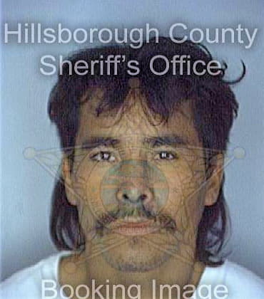 Garcia Alfredo - Hillsborough County, FL 