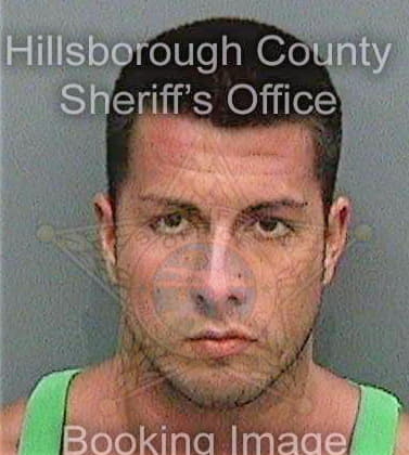 Mejia Paul - Hillsborough County, FL 