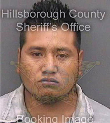 Santizlopez Pedro - Hillsborough County, FL 