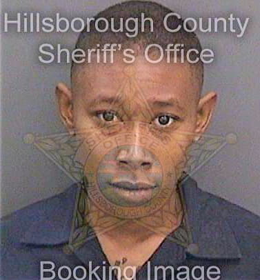 Boyd Eliza - Hillsborough County, FL 