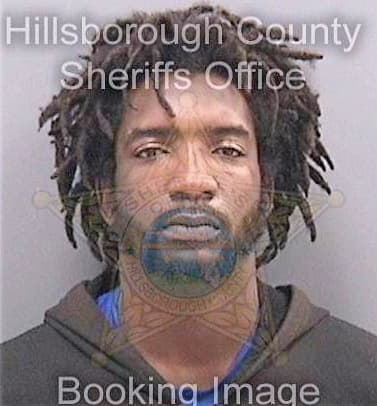 Brookins Arthur - Hillsborough County, FL 