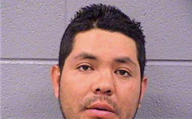 Diaz Jose - Cook County, IL 