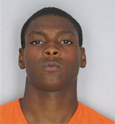 Johnson Joseph - Hillsborough County, FL 