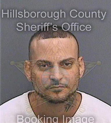 Martinez Alejandro - Hillsborough County, FL 