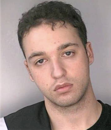 Borukhov Alexander - Hillsborough County, FL 