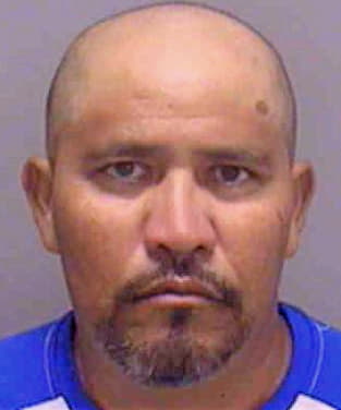 Rojas Luis - Lee County, FL 