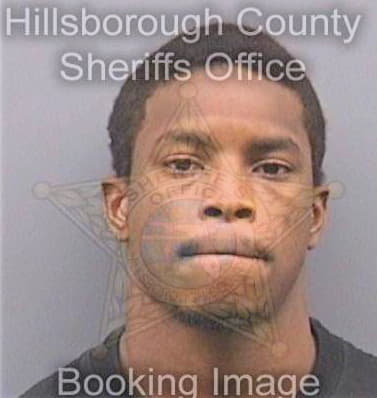 Levy Steven - Hillsborough County, FL 