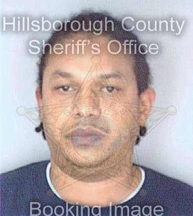 Lee Darryl - Hillsborough County, FL 