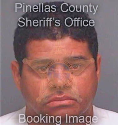 Sanchez Luis - Pinellas County, FL 