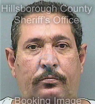 Gonzalezpena Rolando - Hillsborough County, FL 