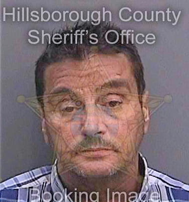 Boerner David - Hillsborough County, FL 