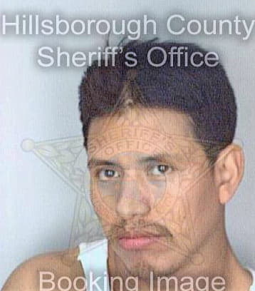 Matias Julio - Hillsborough County, FL 