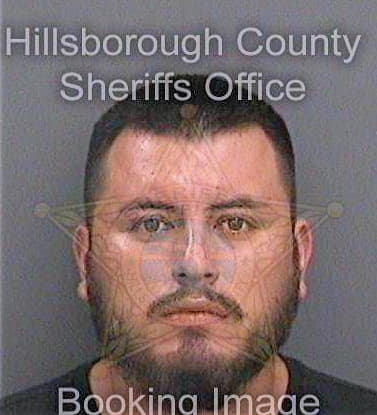 Ferreira Alonso - Hillsborough County, FL 