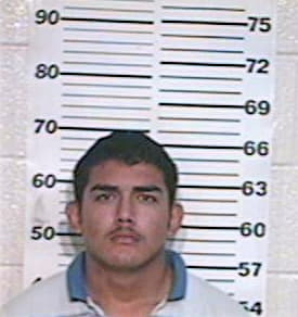 Sanchez Martin - Hidalgo County, TX 