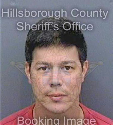 Stiger Jason - Hillsborough County, FL 