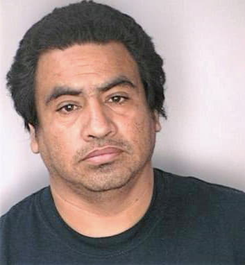 Silva Sidronio - Hillsborough County, FL 